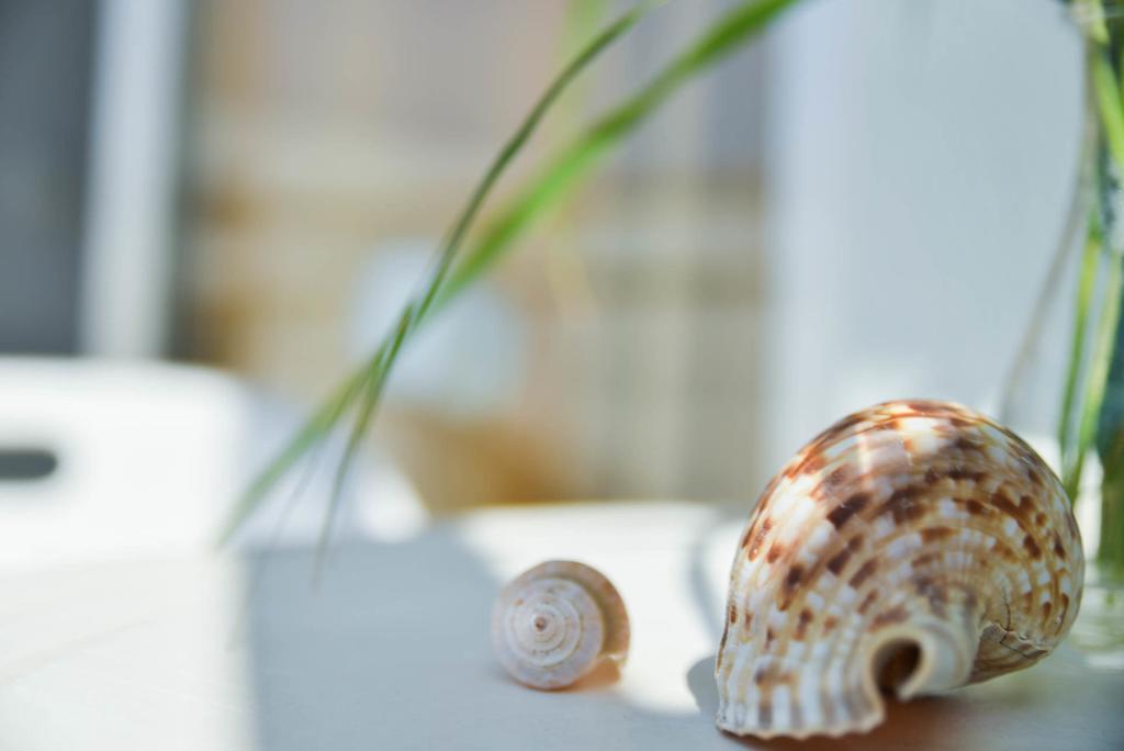 Vassilia Hotel Rhodes City Eksteriør bilde